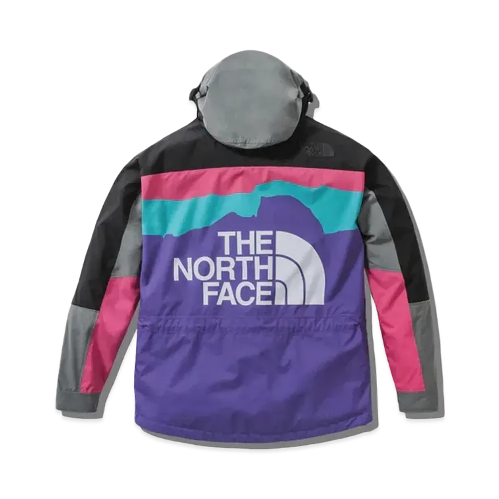 The North Face x Invincible 1994 Retro Mountain Light Jacket "Multi"