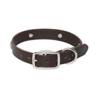 Stussy Studded Dog Collar "Brown"