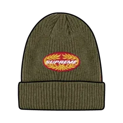 Supreme Terminal Beanie "Olive"