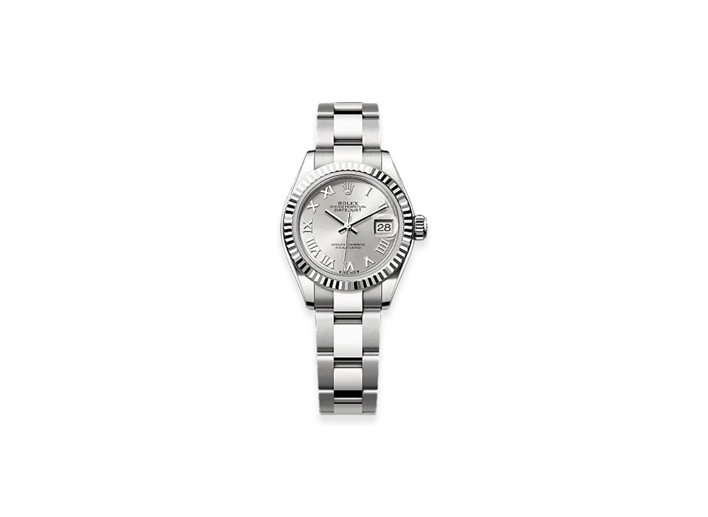 ROLEX Day-Date 40 White Gold "Grey"