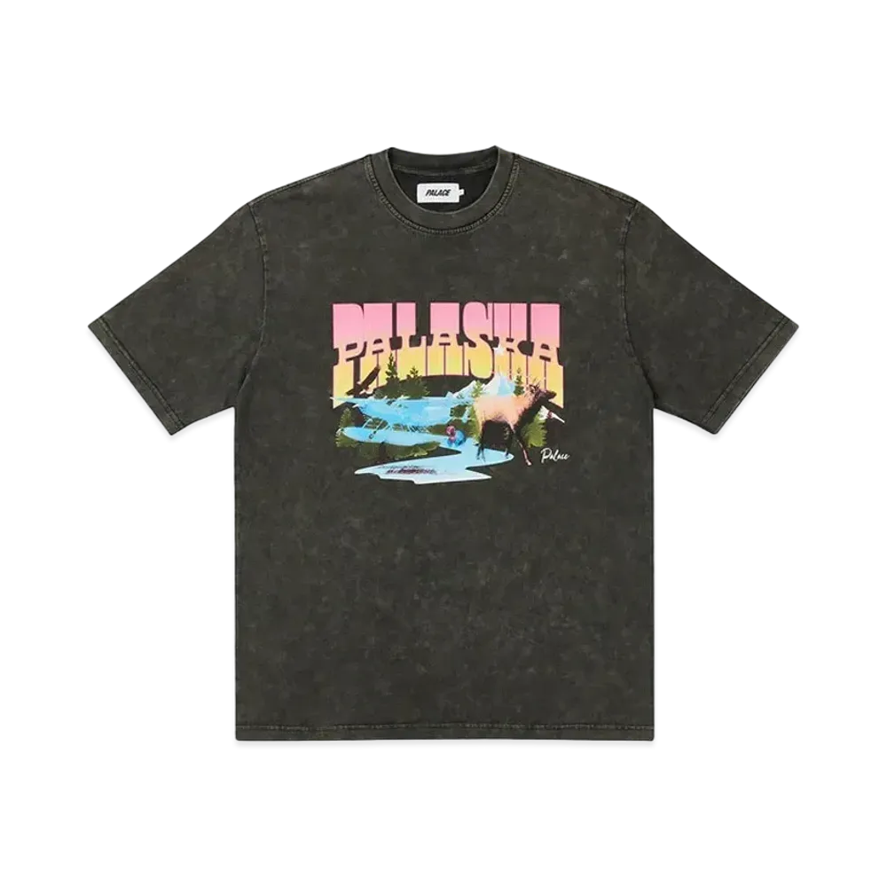 PALACE PALASKA DYE T-SHIRT "Black"
