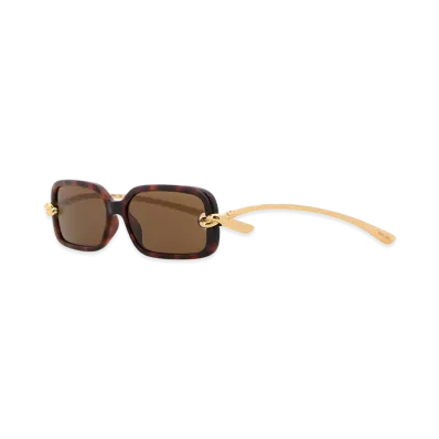 Bottega Veneta Women's Acetate Knot Sunglasses "Multicolor"