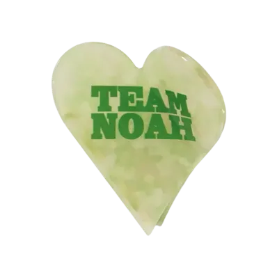 PRO WRESTLING NOAH 25th ANNIV \ ぱくちーひとみ TEAM HAIR CLIP "MULTI"