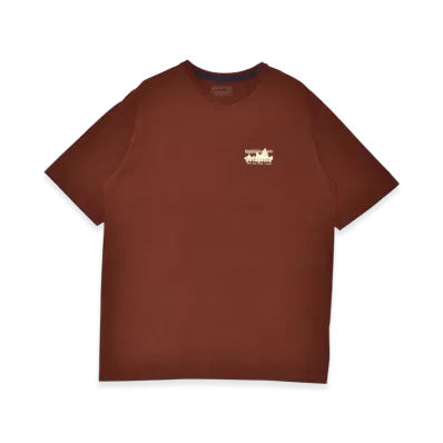 Patagonia '73 Skyline Organic T-Shirt "Dried Vanilla"