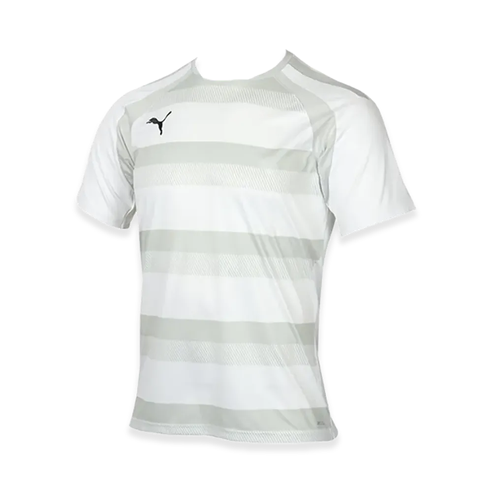 PUMA teamVISION Hoop Match Shirt "Puma White/Glacier Gray"