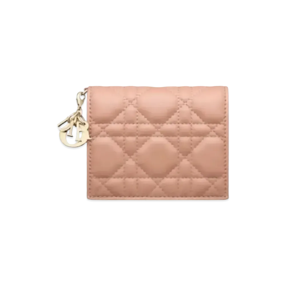 Dior Mini Wallet "Pink"