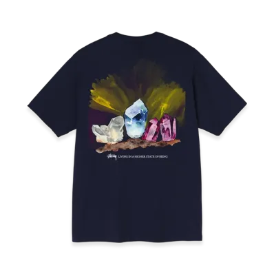 Stussy Higher State Tee "Navy"