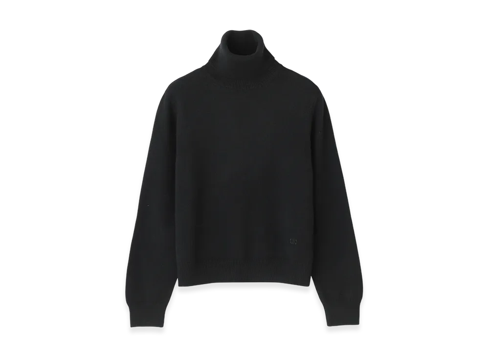 CELINE Turtleneck Knit "Black"