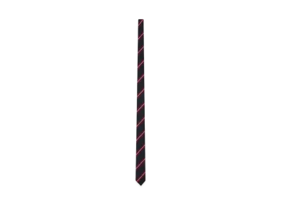 CELINE Thin Tie in Striped Silk "Navy/Bordeaux/Off White"