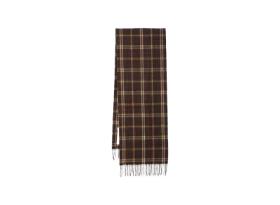 CELINE Scarfs "Brown"