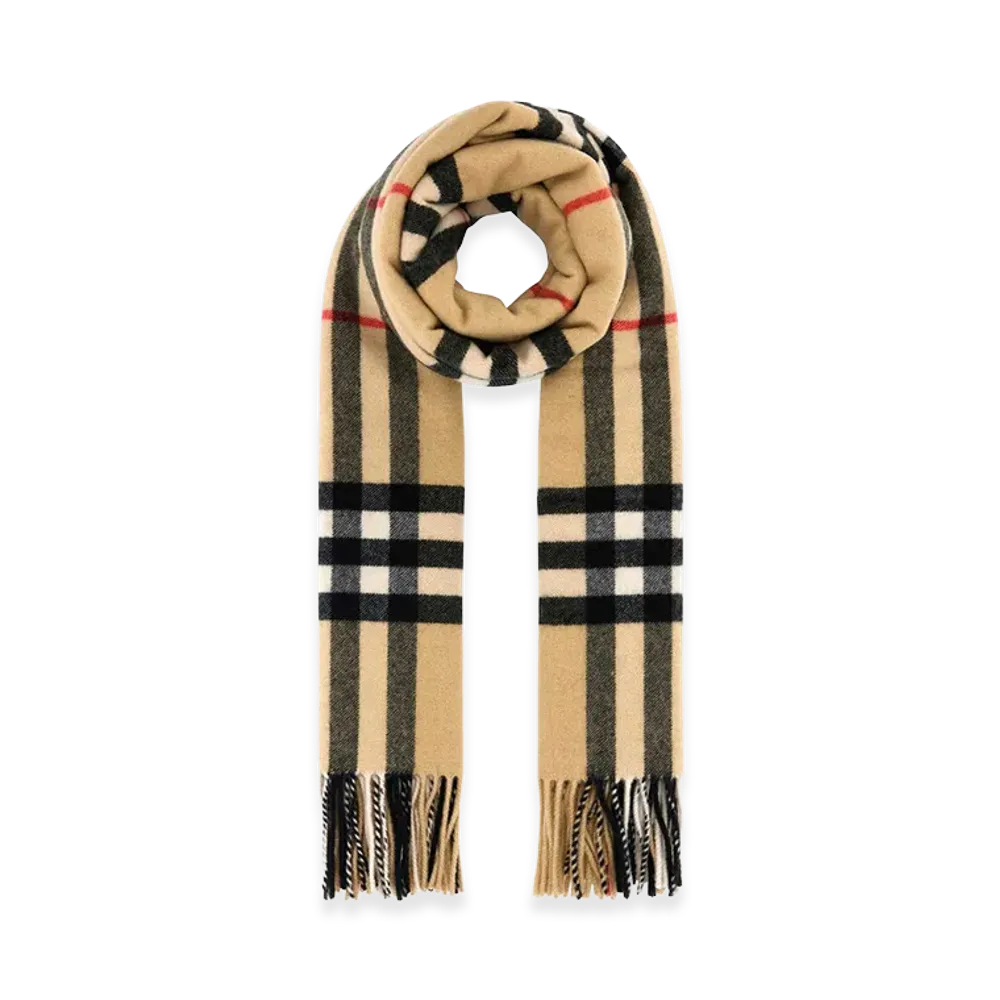 Burberry Embroidered Cashmere Scarf "Printed"