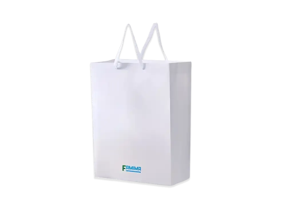 FamilyMart Convenience Wear x NIGO Paper Shopping Bag F (M) "White"