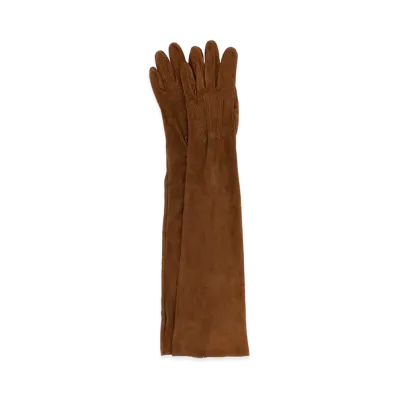 PRADA Women's Suede Long Gloves "Brown"