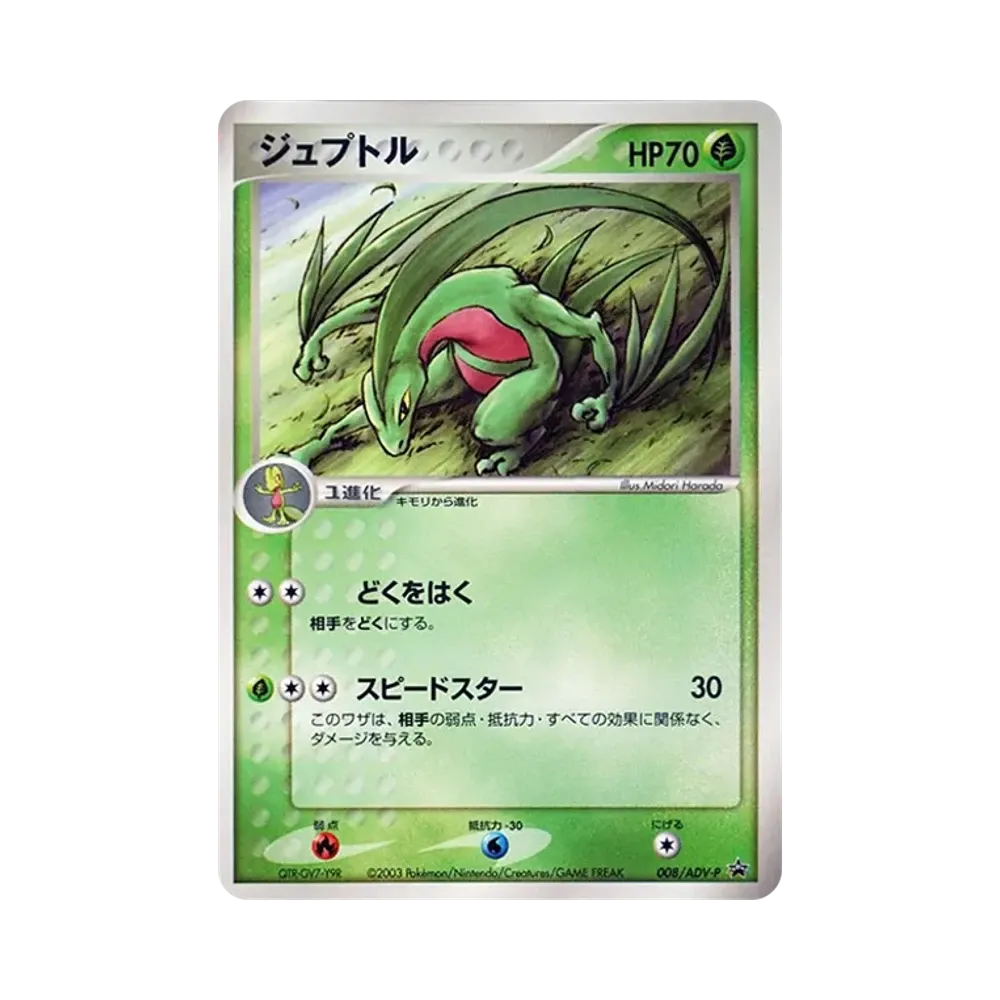 森林蜥蜴