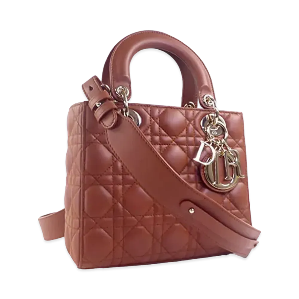 Dior Lady Dior My ABC Dior Bag "Brown"