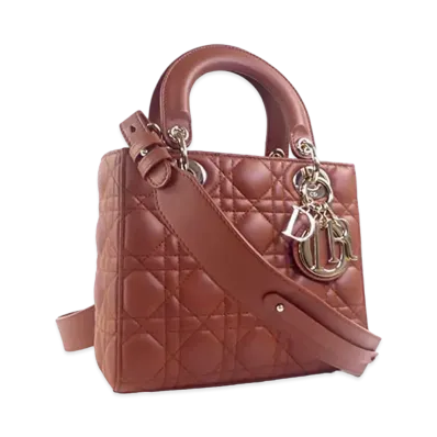 Dior Lady Dior My ABC Dior Bag "Brown"