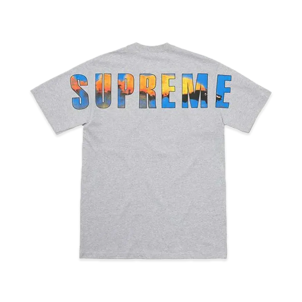 Supreme Crash Tee "Heather Grey"
