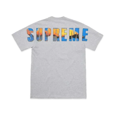 Supreme Crash Tee "Heather Grey"