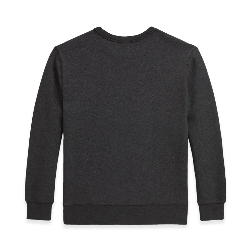 Ralph Lauren Kids Sweaters "Grey"