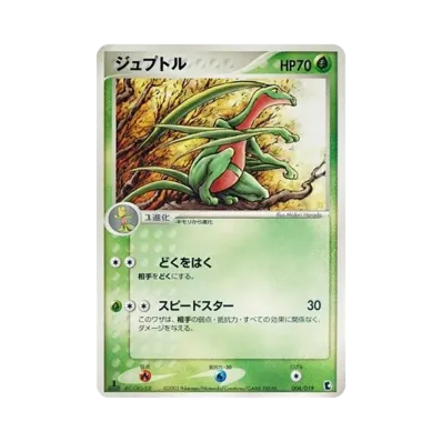 森林蜥蜴