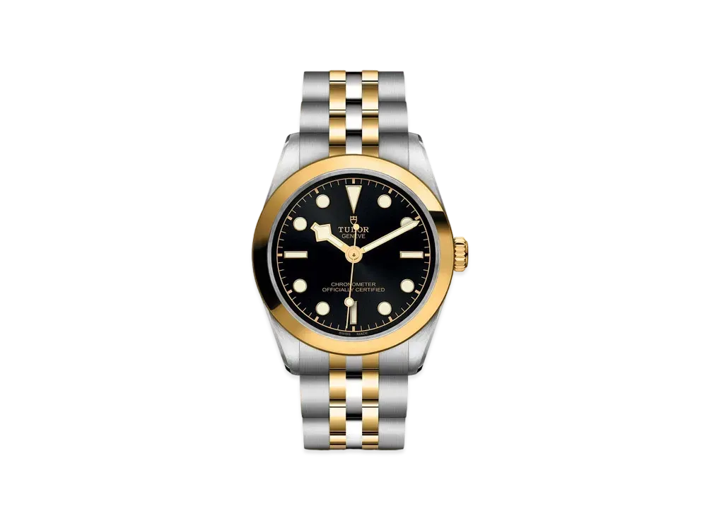 TUDOR BLACK BAY 31 S&G
