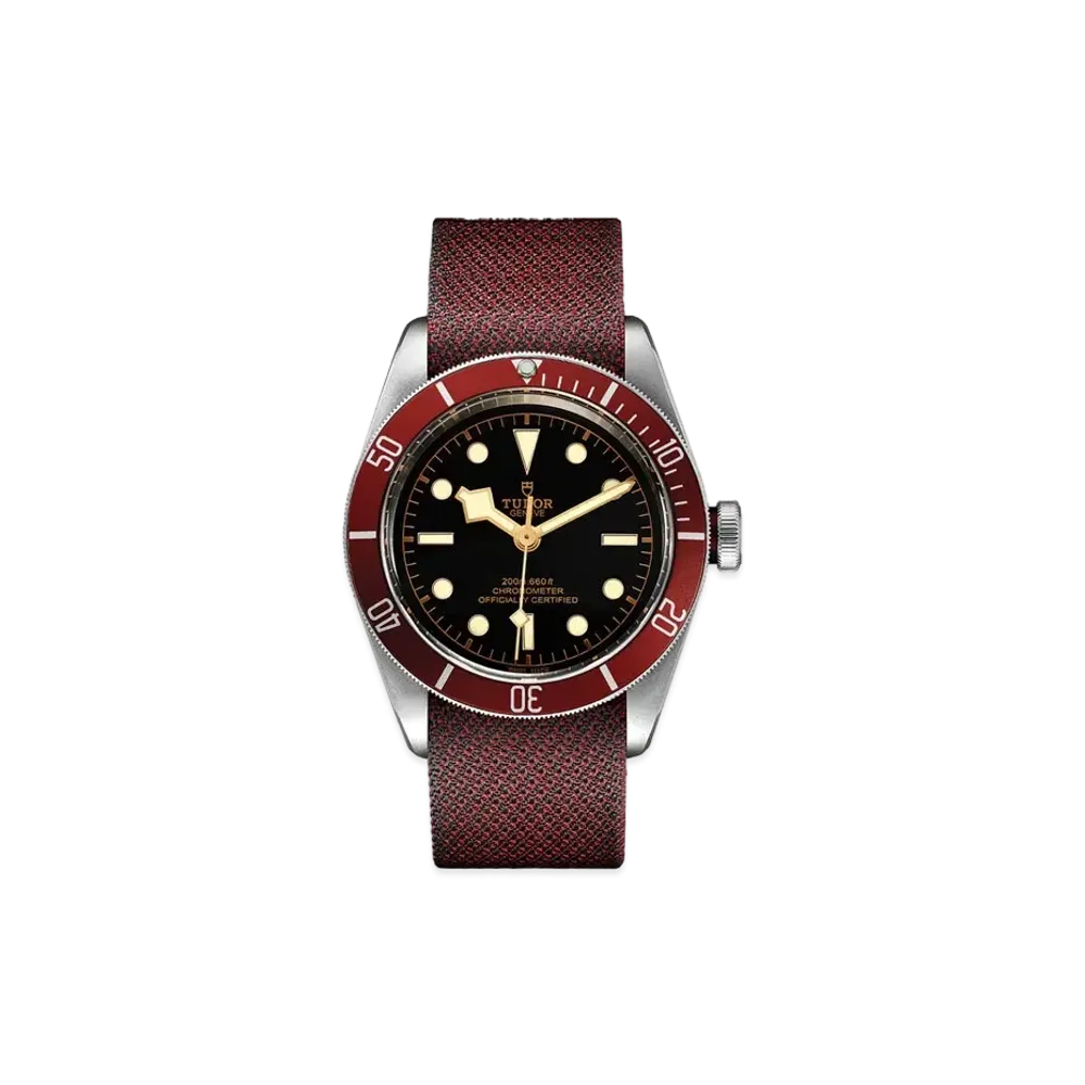 TUDOR BLACK BAY