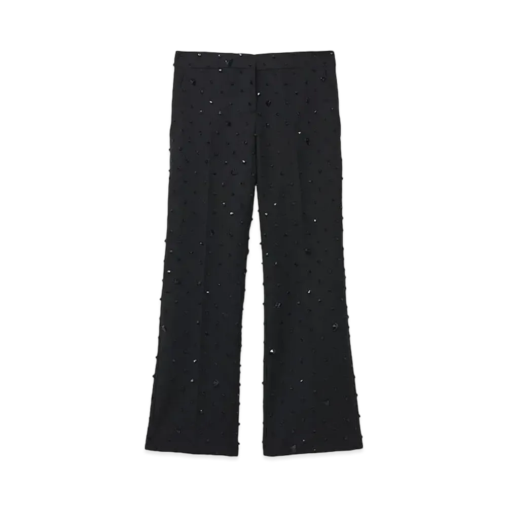 Alexander McQUEEN Cosmic Stone Embroidery Cropped Trousers "Black"