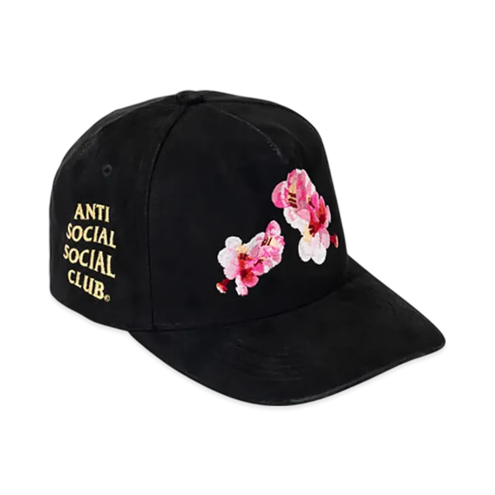 ANTI SOCIAL SOCIAL CLUB Ruskind Cap "Black"