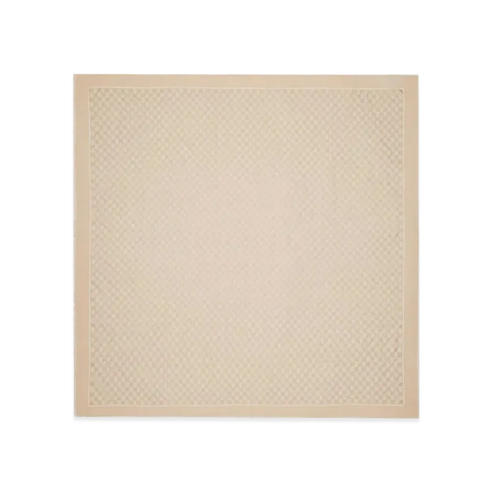 GUCCI Women's Embroidered Wool Foulard "Beige"