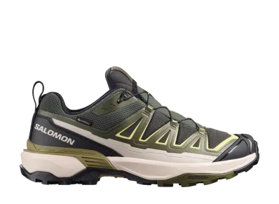 Salomon X Ultra 360 Edge GORE-TEX "Peat/Olive Night/Endive"