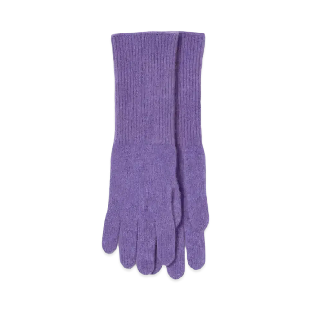 AURALEE Baby Cashmere Kniit Long Gloves "Purple"
