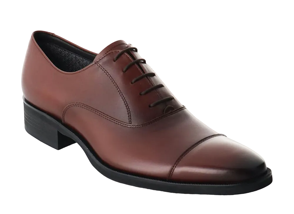 REGAL Straight Tip Calf Leather "Brown" 31FLBF