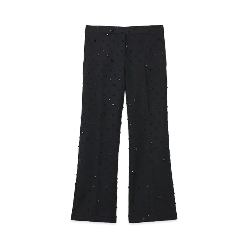 Alexander McQUEEN Cosmic Stone Embroidery Cropped Trousers "Black"