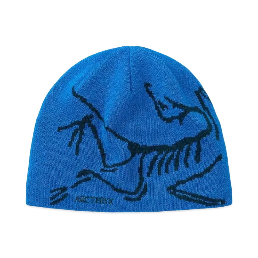 ARC'TERYX Bird Head Toque "Fluidity/Labyrinth" X000005656