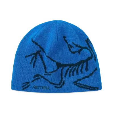 ARC'TERYX Bird Head Toque "Fluidity/Labyrinth" X000005656