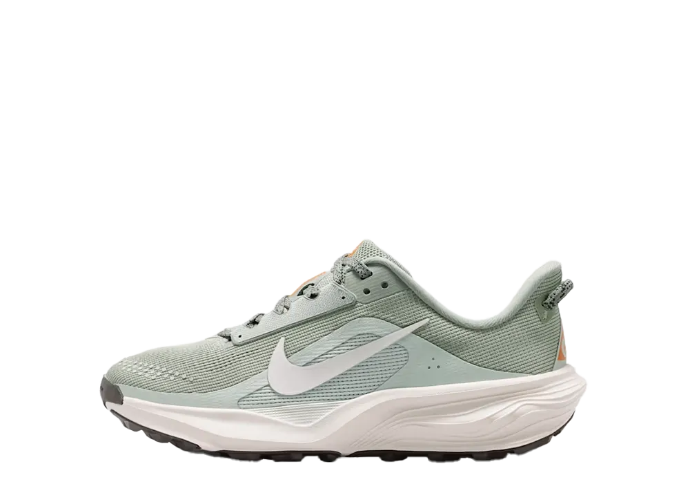 Nike GS ACG Pegasus Trail "Jade Horizon/Light Silver"