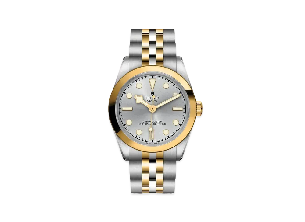TUDOR BLACK BAY 31 S&G