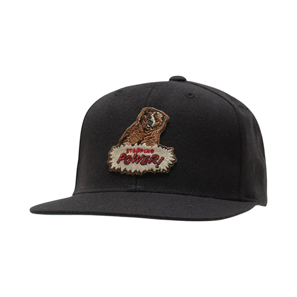 MASSES FULL PANEL CAP BEER "BLACK"
