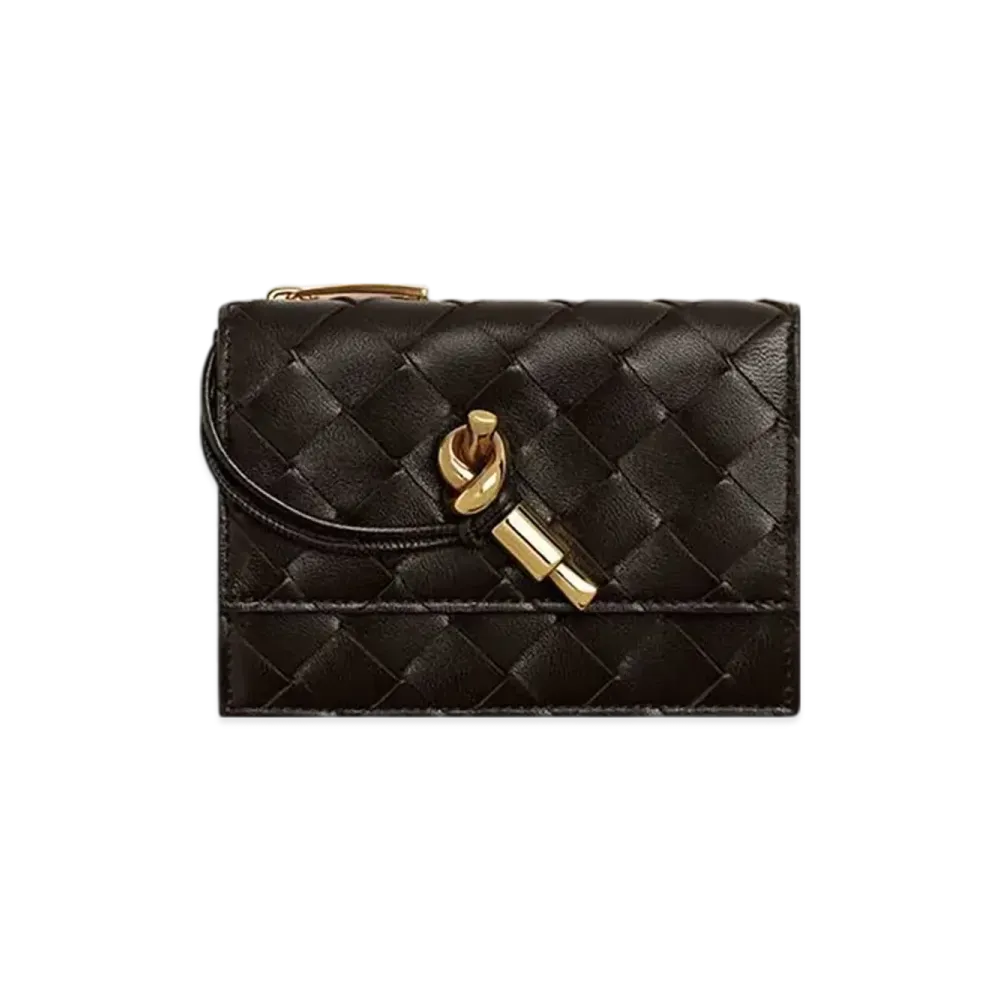 Bottega Veneta Andiamo Zipped Card Case "Fondente"