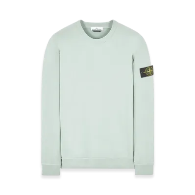Stone Island 61720 Crewneck Sweatshirt - 22FW "Light Grey"