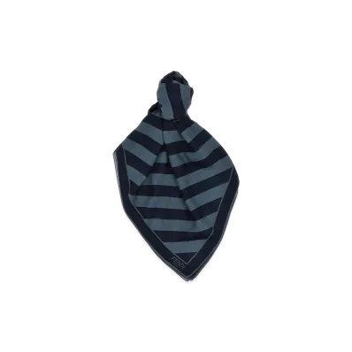 FENDI Pequin Striped Shawl "Blue"
