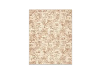 Dior Toile de Jouy Sauvage Stole Cashmere "Ivory/Beige"