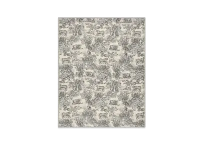 Dior Toile de Jouy Sauvage Stole Cashmere "Ivory/Gray"