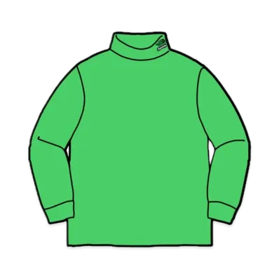 Supreme x The North Face RTG Turtleneck "Green"