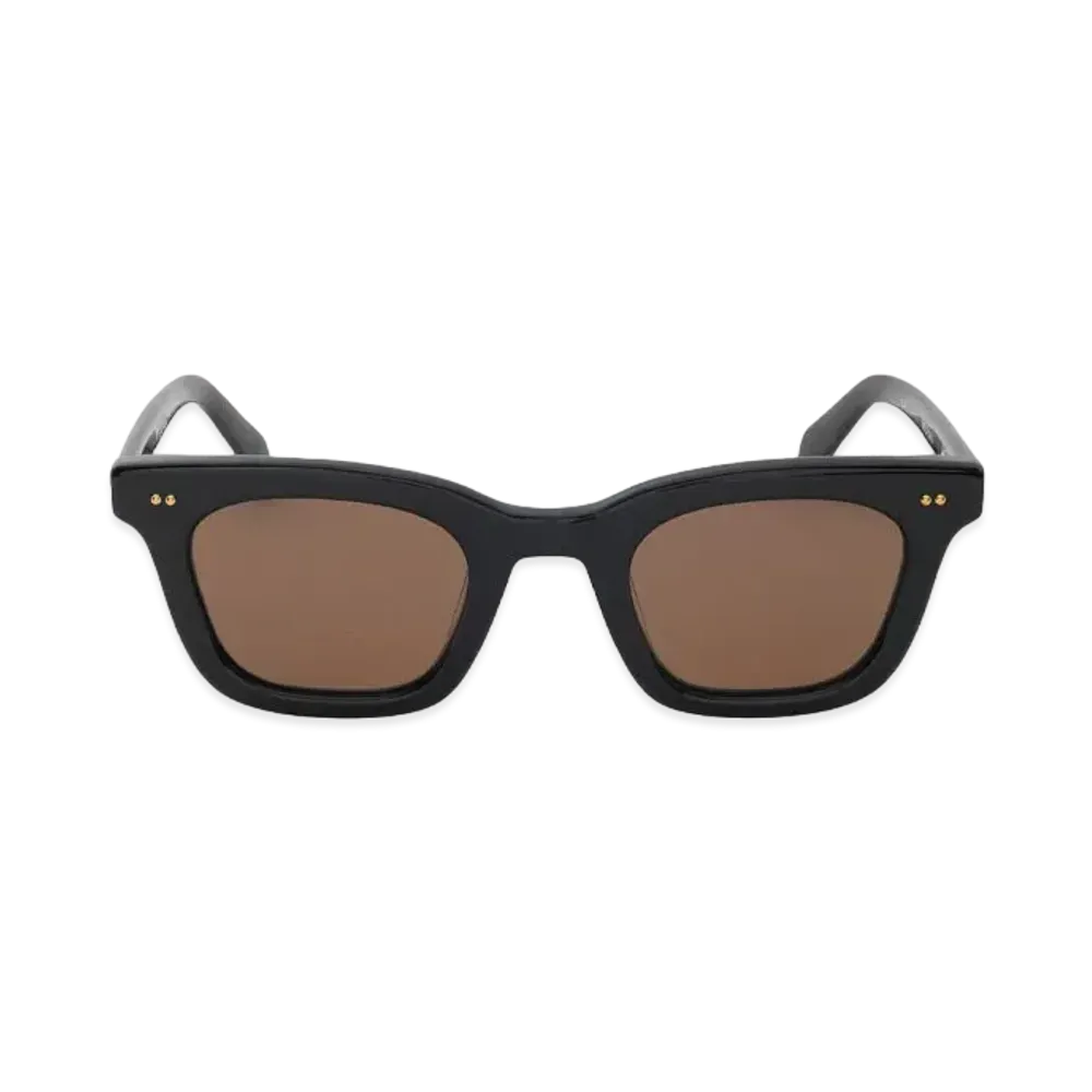 Stussy Ace Sunglasses "Black / Brown Lens"