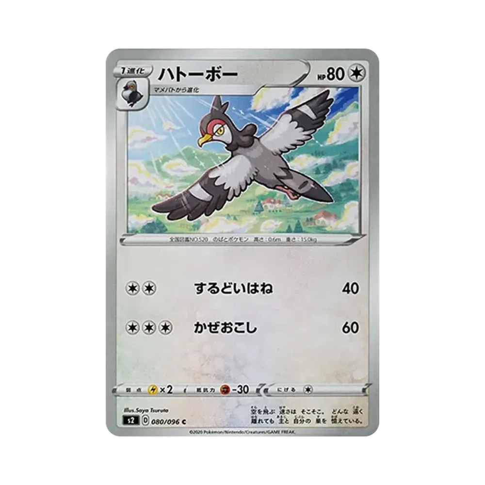 波波鴿