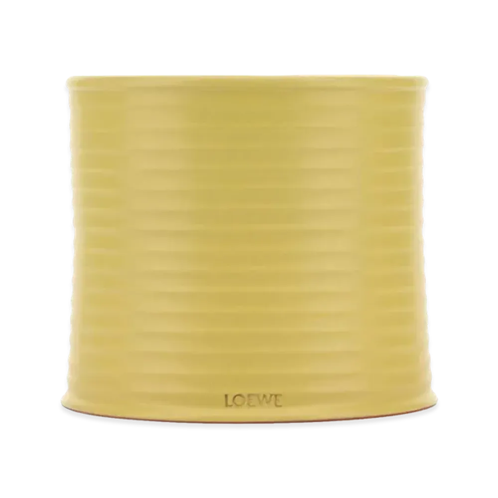 LOEWE Large Honeysuckle Scented Candle "Yellow"