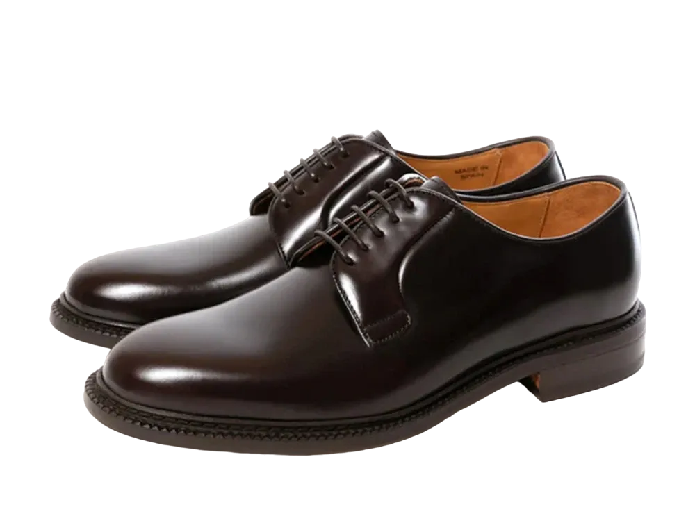 Berwick Plain Toe HO184 Coating Leather "Dark Brown" 3680ROJRDB