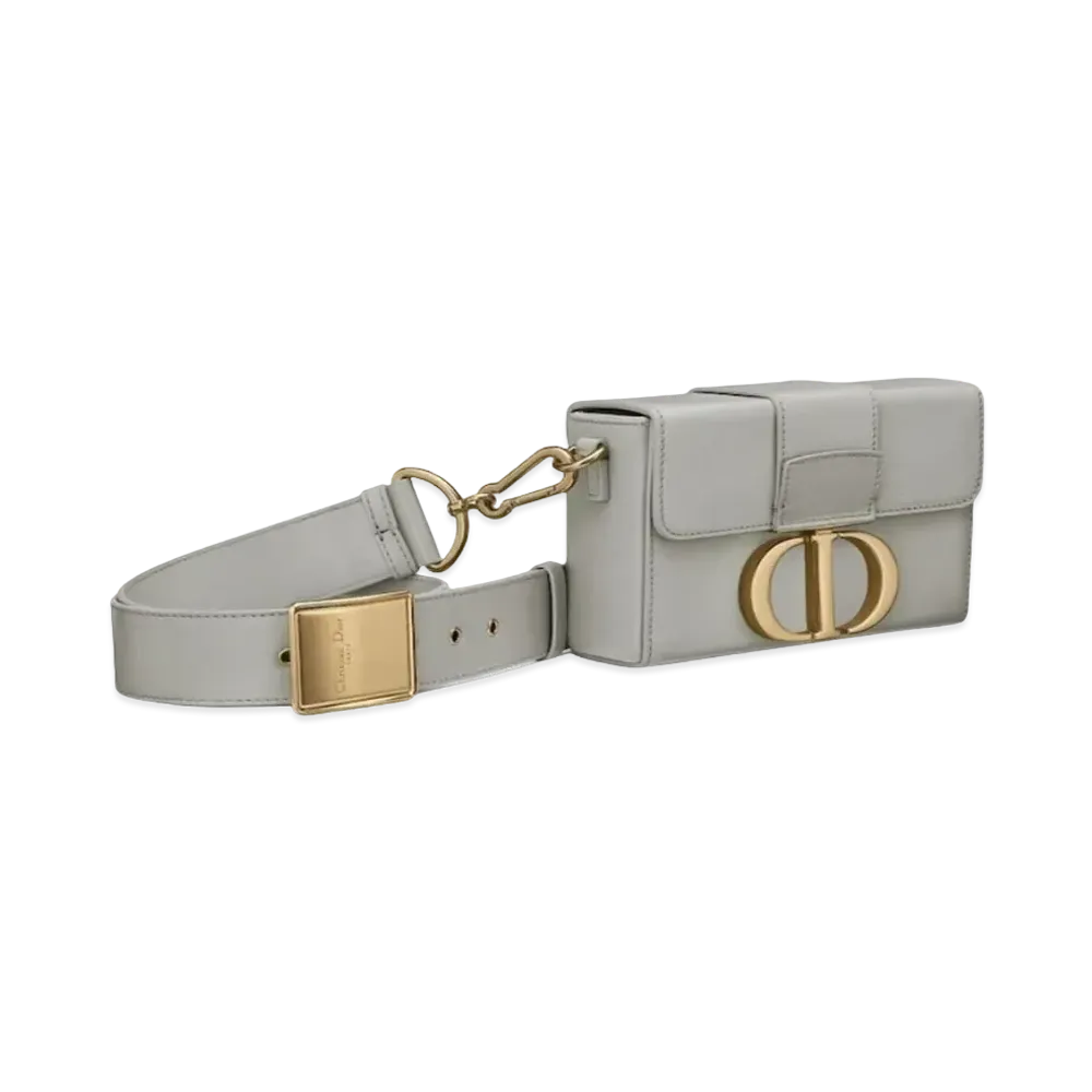 Dior 30 Montaigne Box Bag "Gray"