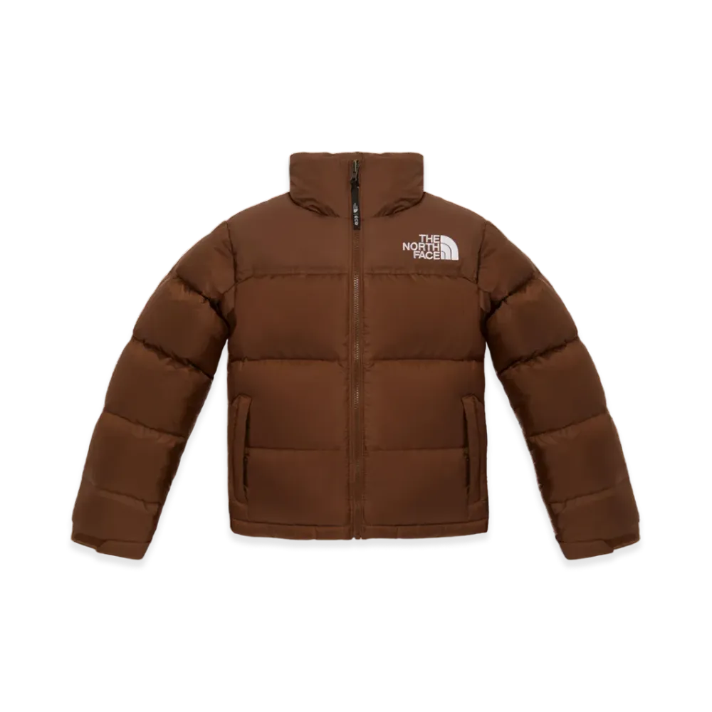 The North Face 1996 Eco Blue Nuptse Jacket (W) "Brown"